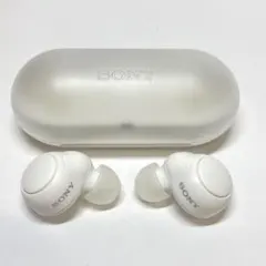 SONY WF-C500 ワイヤレスイヤホン　 　　　S110