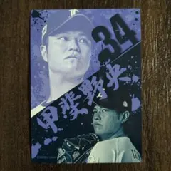 埼玉西武ライオンズ 選手プロデュースグルメ トレカ 甲斐野央