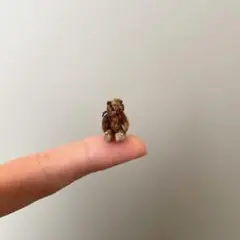 2026年最新】ミニチュアテディベアの人気アイテム - メルカリ