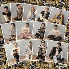 SEVENTEEN☆舞い落ちる花びら エントリーカード コンプセット