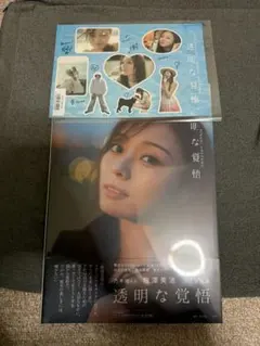 梅澤美波 写真集 完全未開封　透明な覚悟　乃木坂46 3期生　坂道