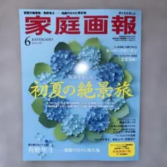家庭画報　2026年6月号　プレミアムライト版☆角野隼人☆五木寛之☆常盤貴子