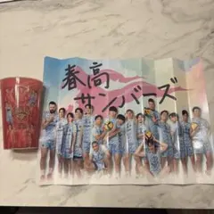 2025年最新】バレーボールの人気アイテム - メルカリ