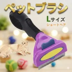 Item thumbnail for item 3e3ac519-afcc-43d5-a8b0-7cae7ffe5242