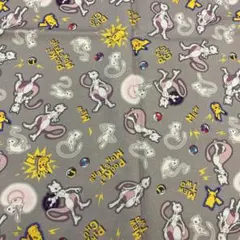 ichi✬様 リクエスト 2点 まとめ商品