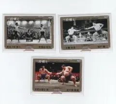 Item thumbnail for item e053b8db-20a1-4b6c-ab22-0775cb1fff56