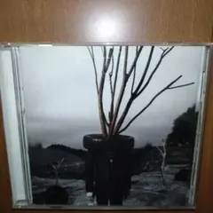 9mm parabellum bullet「Revolutionary」