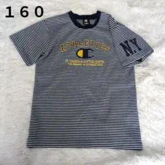 Champion チャンピオン Tシャツ 160 ボーダー