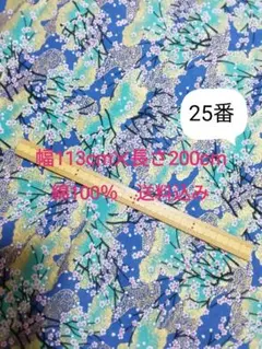 Item thumbnail for item 2f05f3ba-8a23-4cd5-822a-c38b756afe36