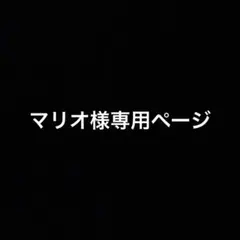 マリオ様専用ページ