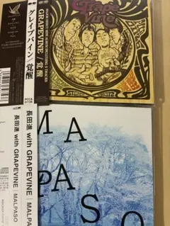 2026年最新】#GrapeVineの人気アイテム - メルカリ