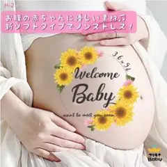 マタニティフォトシール　マタニティペイントシール　夏　ひまわり　男の子　女の子