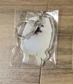 2025年最新】アリス九號ヒロトの人気アイテム - メルカリ