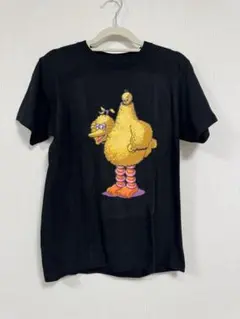 オリジナルTシャツ　ビックバード