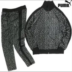 PUMA ヒョウ柄 ジャージセットアップ