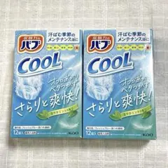 花王 バブ COOL 涼やかミントの香り 12錠入×2箱セット