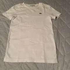 LACOSTE ラコステ　Tシャツ US XXS レディース　キッズ　夏服のサムネイル