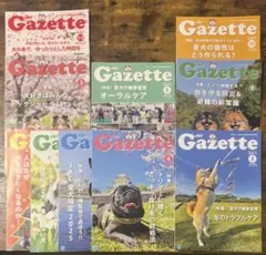 2026年最新】The gaZette 雑誌の人気アイテム - メルカリ