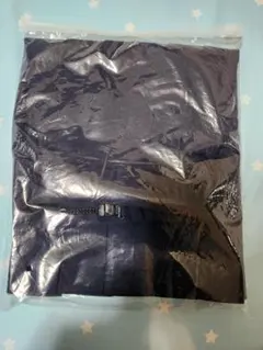 Item thumbnail for item dc18be2f-c9cc-4ca2-9249-850ecb366763