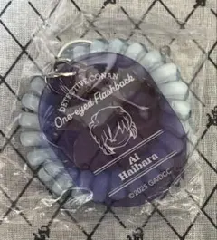 名探偵コナン 隻眼の残像 ロッカーキー風アクリルキーホルダー 灰原哀