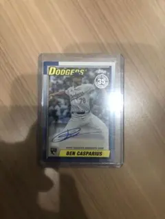 Item thumbnail for item 4341f4e3-0b85-45a5-a8e8-be6e448be36f