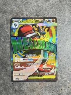 ちゃちゃ様専用 メガルカリオex MA