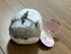 走る！ぶるぶるはむすたー　ハムスター