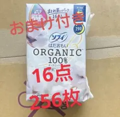 Item thumbnail for item 6cc63736-d13f-4ab7-8649-3e73d7977c90