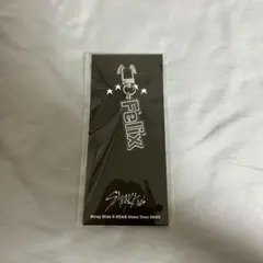 スキズ　アクリルネームキーホルダー　フィリックス