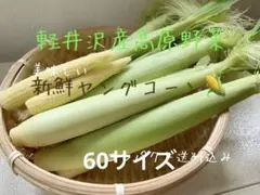 沖縄県久米島産とうもろこし ホワイトコーン 訳あり 約1kg - メルカリ