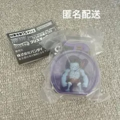 ワンピの実ミクロ　ブリスターチャーム　シークレット　ガチャ①