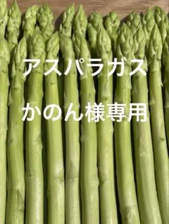 佐賀産アスパラガス　専用ページですので他のお客様のご購入ご遠慮願います