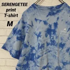 輸入古着 SERENGETEE 前後プリント タイダイ染め 半袖Tシャツ M