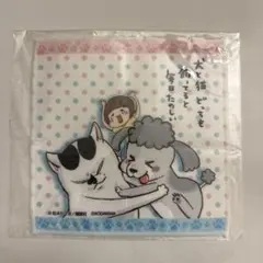 【WS9】犬と猫どっちも飼ってると毎日たのしい マイクロファイバータオル