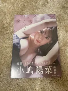 【新品未開封】小嶋陽菜 写真集 かもしれない