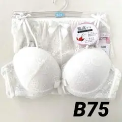 エレガンテ　ブラジャー　ショーツセット　B75 白　バックレースショーツ　リボン