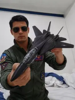 F-14 1/72 トムキャット トップガン 戦闘機 プラモデル 塗装済 模型のサムネイル