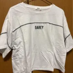 WEGO GAREY ロゴTシャツ ホワイト Fサイズのサムネイル