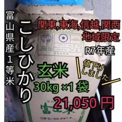 R7年富山県産コシヒカリ玄米30kg×1袋✳️関東、東海、信越、関西地域限定 R7年富山県産コシヒカリ玄米30kg×1袋✳️関東、東海、信越、関西地域
