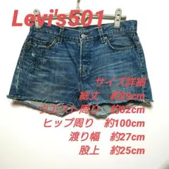リーバイスLevi's501 メキシコ製 ペイント加工