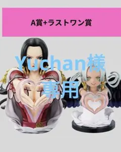 一番くじ ワンピース メモリーオブヒロインズ A賞 ラストワン賞