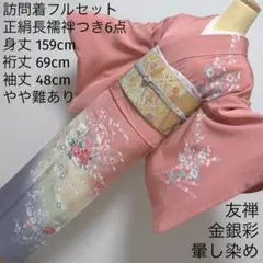 夏着物 絽紗 小紋 フルセット 華やぎ 単衣 白地 O4 - メルカリ