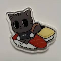 TXT プルバトゥ バッジ 東京 有明 ダゴニャン ②