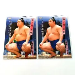 Item thumbnail for item 023c872a-100c-41ab-b98b-d4c0921c595b