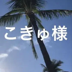 こきゅ様 リクエスト 3点 まとめ商品