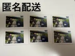 いれいす 大人組 実写チェキ風トレカ 6枚セット ないこ If 悠佑