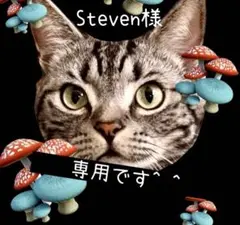 Steven様 リクエスト 4点 まとめ商品
