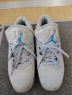 NIKE AIR JORDAN バスケットシューズ 29.5cm Dのサムネイル