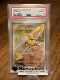 2026年最新】psa10 わんぱちの人気アイテム - メルカリ