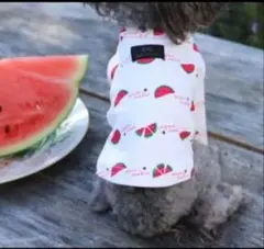アズノウアズデワンスイカT モメソセ☆様専用です - メルカリ